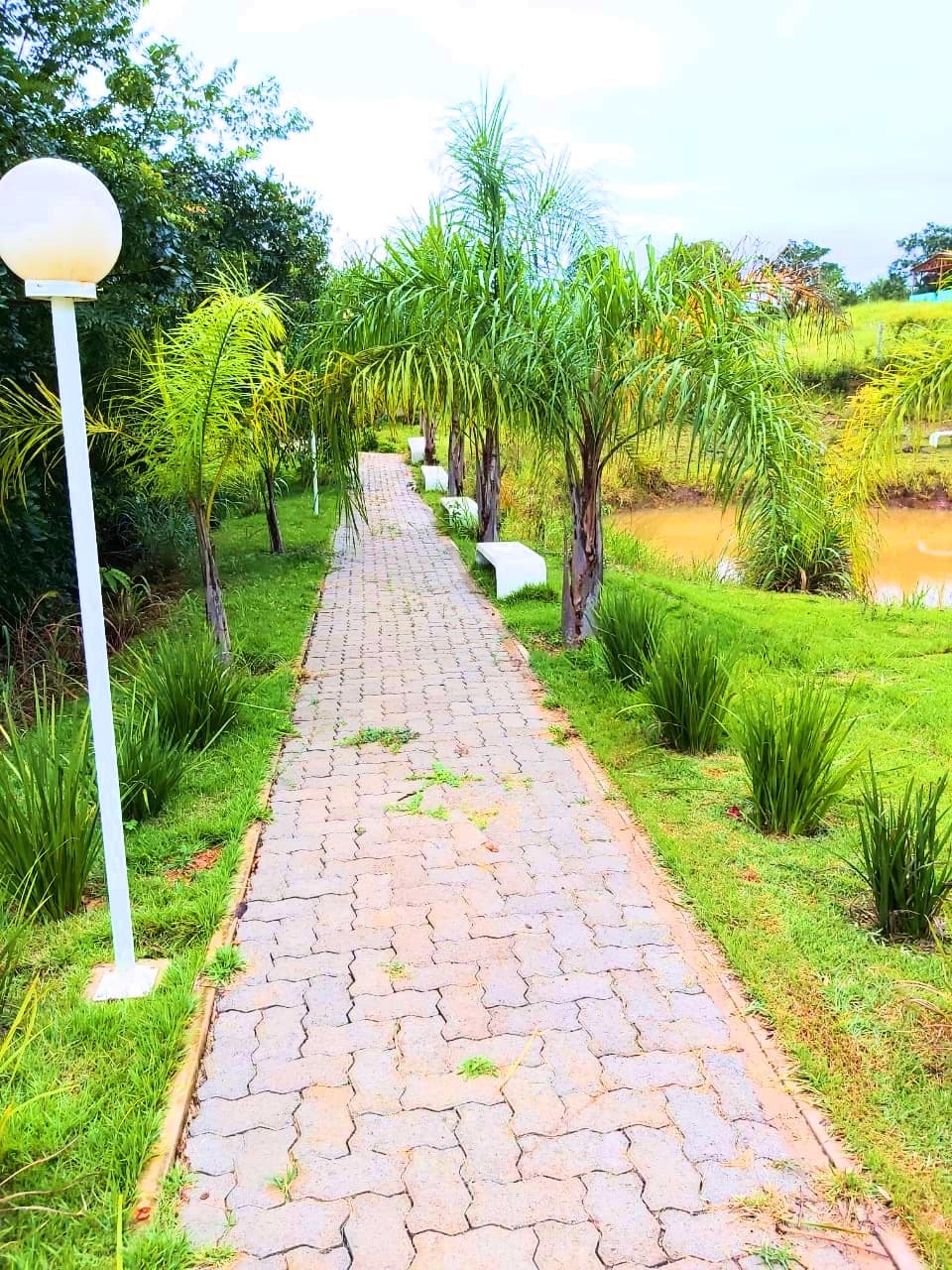 Jardim & Trilha